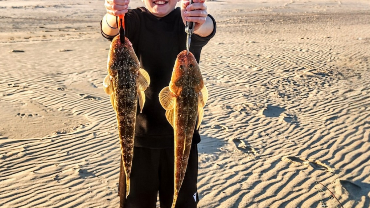 Flathead Fishing Guide – Best Lures, Techniques & Tips