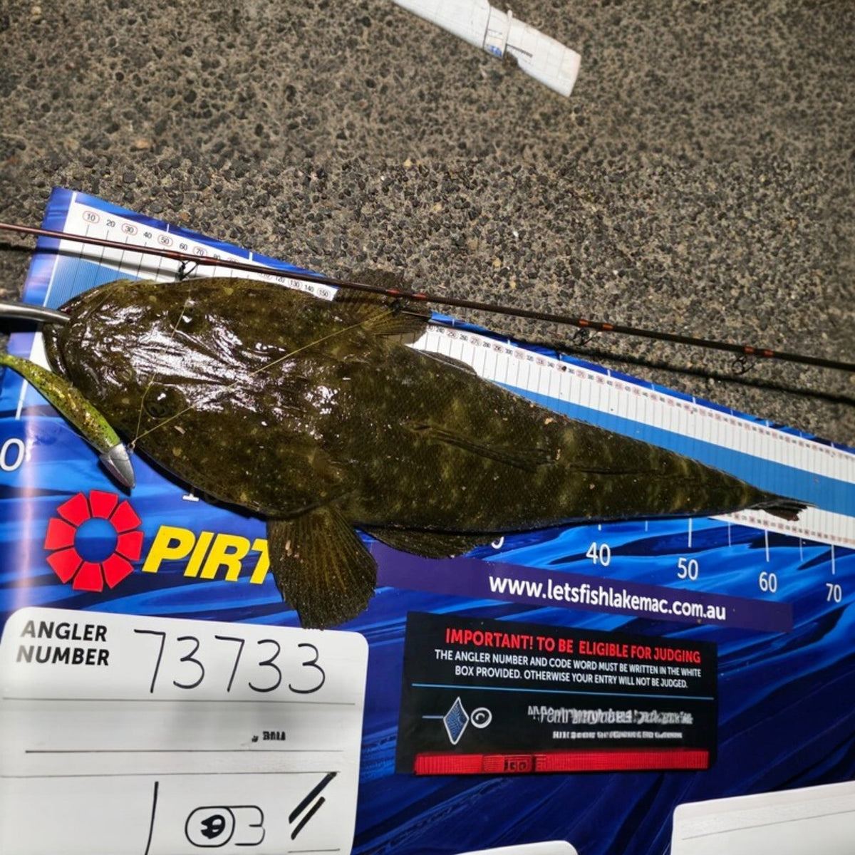The Secrets of Flicking Soft Plastics (That No One Has Told You)