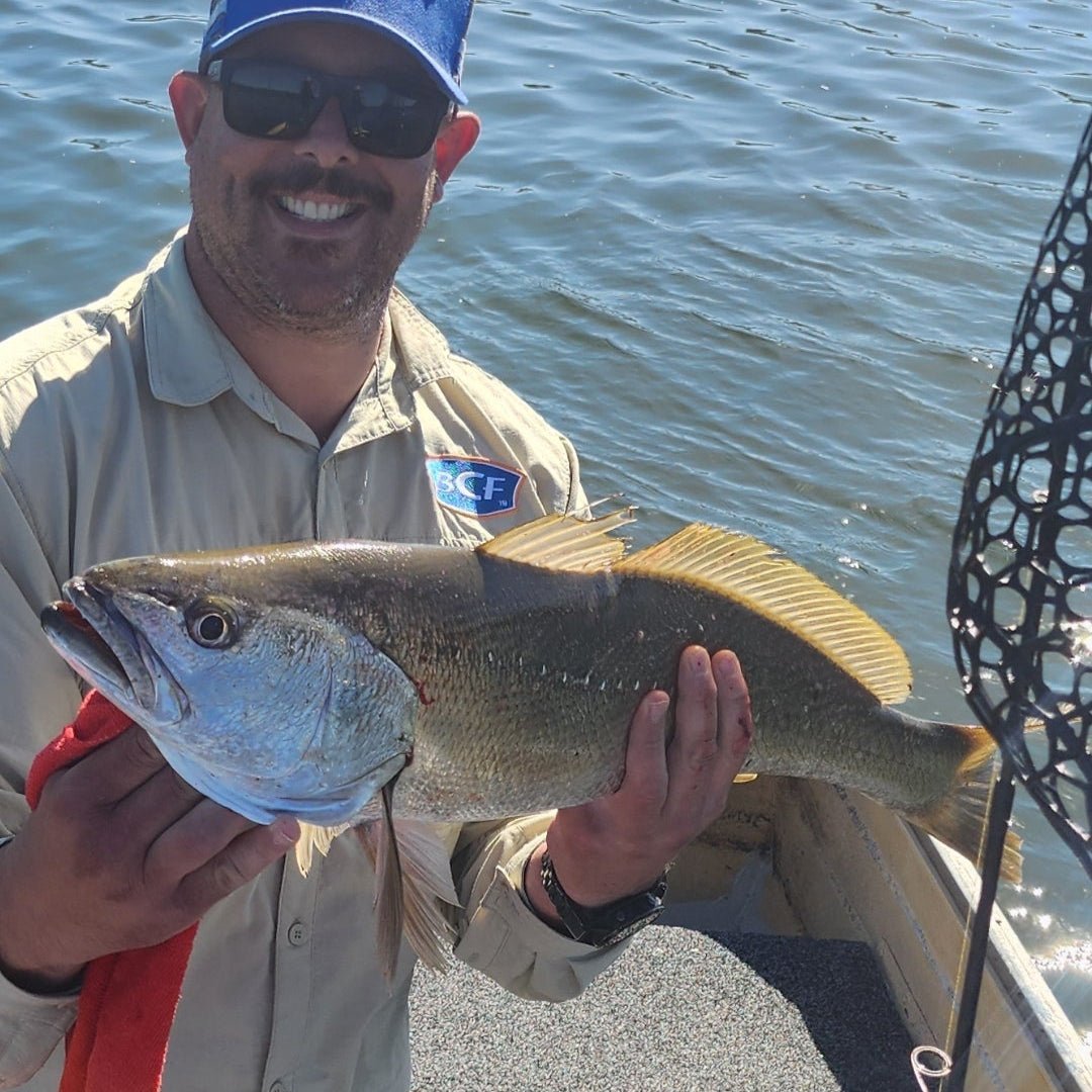 Jewfish (Mulloway) Fishing Guide — Catch More Big Silver Ghosts