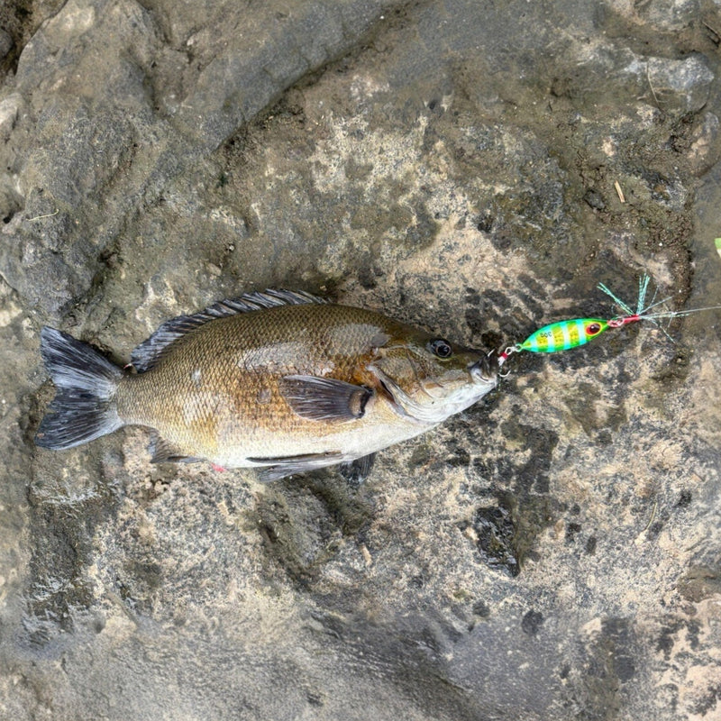 APEX METAL JIG - GREEN - 3 pack - Flicking The Plastics