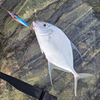 APEX METAL JIG - GREEN - 3 pack - Flicking The Plastics