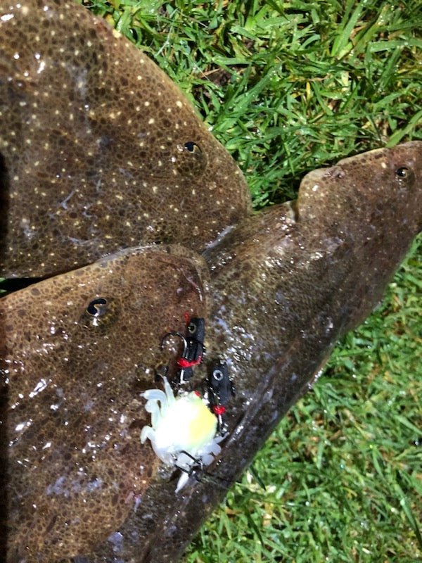 FTP BATTLE CRAB GREEN - Flicking The Plastics