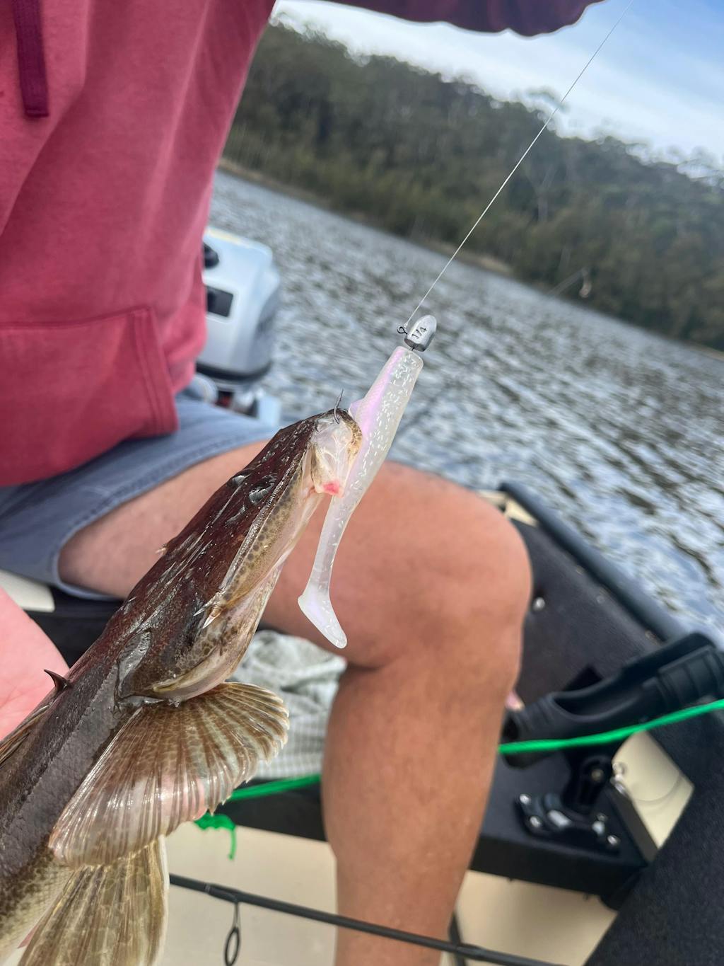 FTP BLAZE PADDLE TAIL SOFT PLASTIC - DANGER - Flicking The Plastics