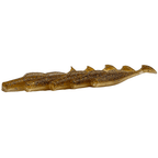 FTP BLAZE PADDLE TAIL SOFT PLASTIC - GOLD - Flicking The Plastics