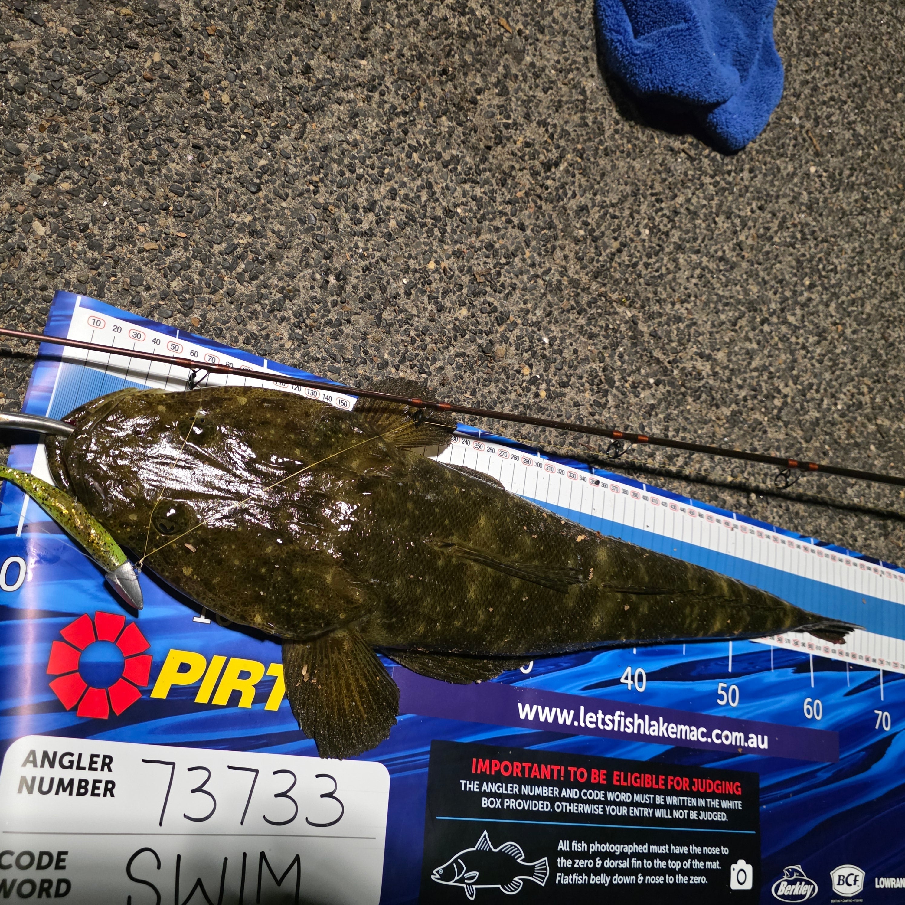 FTP BLAZE PADDLE TAIL SOFT PLASTIC - OPAL - Flicking The Plastics
