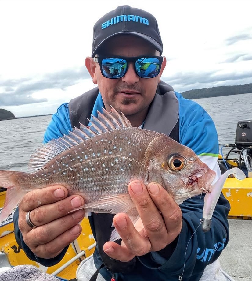 FTP BLAZE PADDLE TAIL SOFT PLASTIC - OPAL - Flicking The Plastics