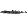 FTP BLAZE PADDLE TAIL SOFT PLASTIC - PHANTOM - Flicking The Plastics