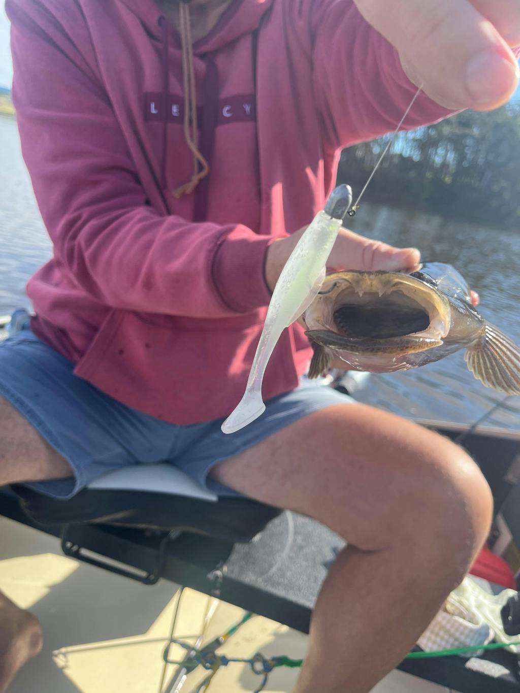 FTP BLAZE PADDLE TAIL SOFT PLASTIC - REAPER - Flicking The Plastics