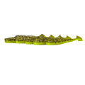 FTP BLAZE PADDLE TAIL SOFT PLASTIC - RISER - Flicking The Plastics