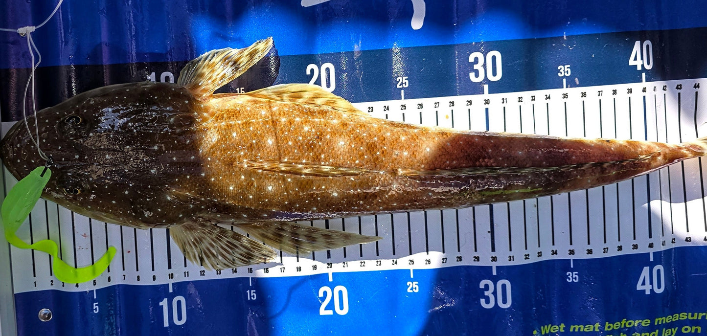 FTP CHIEF CURL TAIL GRUB - LIME GREEN - Flicking The Plastics