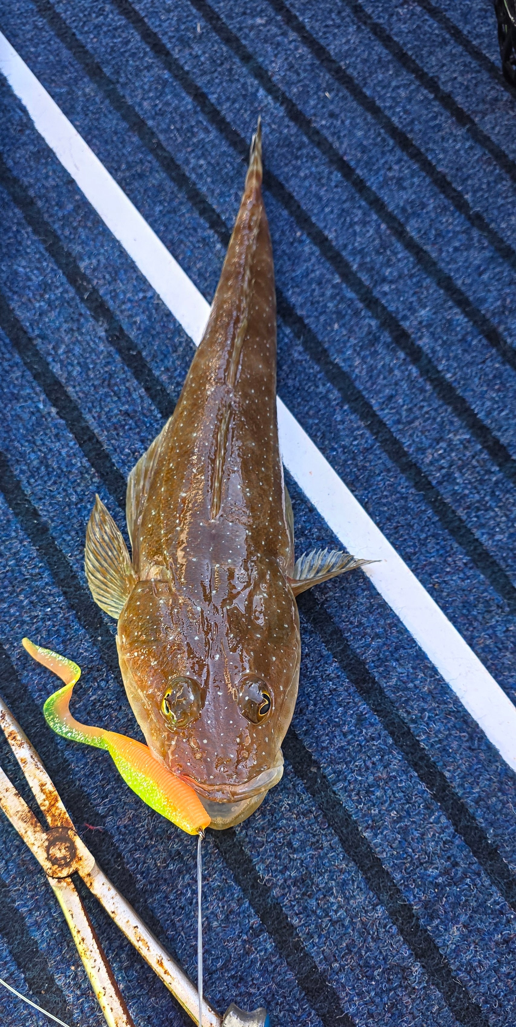 FTP CHIEF CURL TAIL GRUB - LIME GREEN - Flicking The Plastics