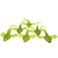 FTP DOMINATOR FLATTY - LIME - Flicking The Plastics