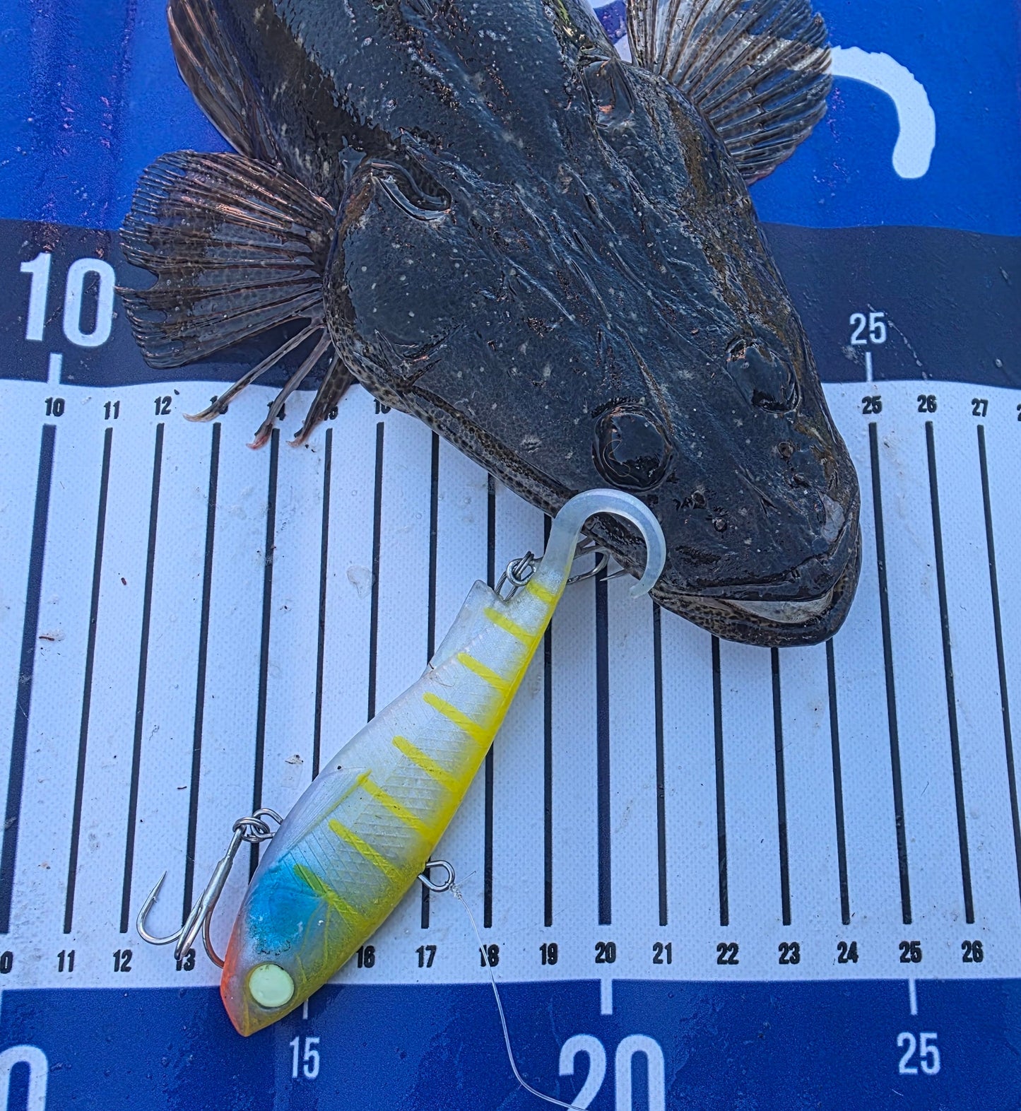 FTP DRIFTER VIBE - LUCKY STRIKER - Flicking The Plastics