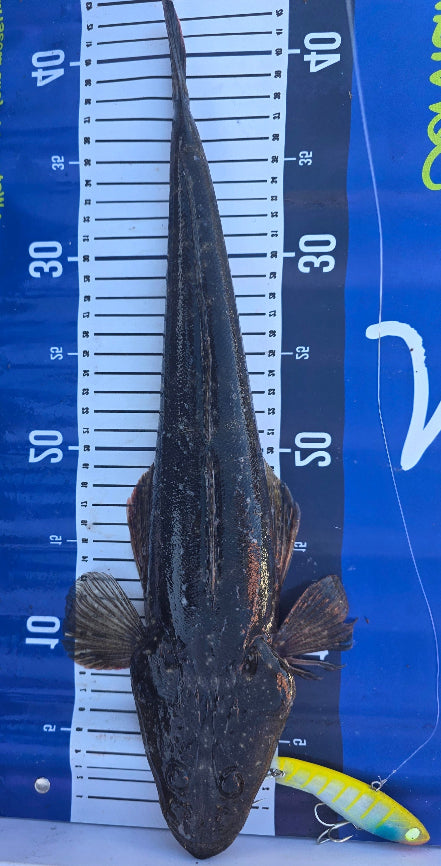 FTP DRIFTER VIBE - LUCKY STRIKER - Flicking The Plastics