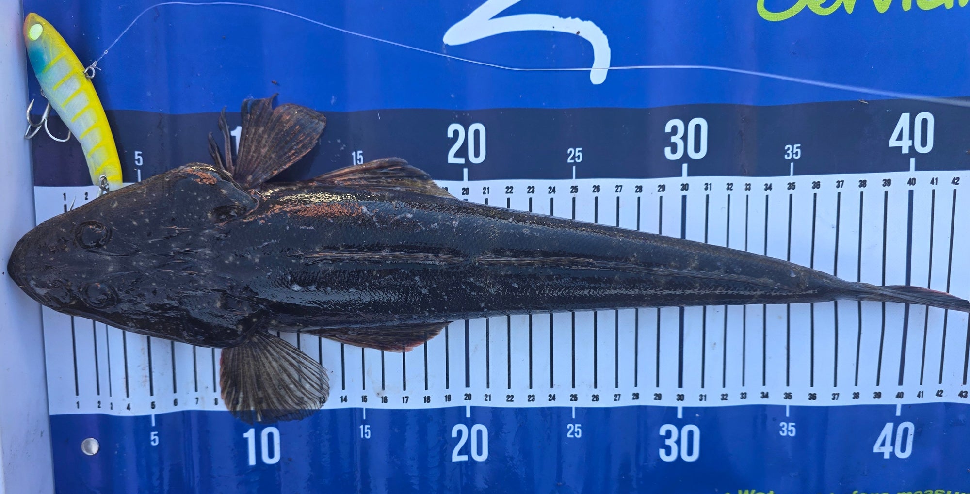 FTP DRIFTER VIBE - LUCKY STRIKER - Flicking The Plastics