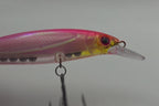 FTP SLAYER MINNOW - BLUSH