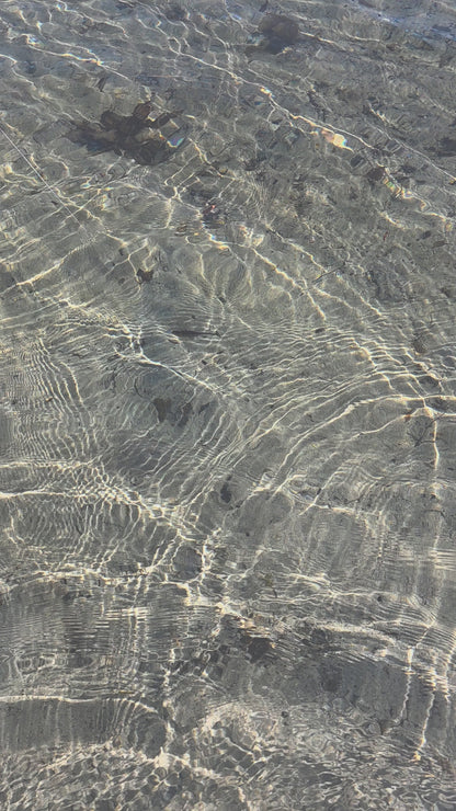 FTP BLAZE PADDLE TAIL SOFT PLASTIC - REAPER