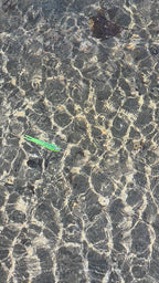 FTP PRIME JERK SHAD - GHOST -