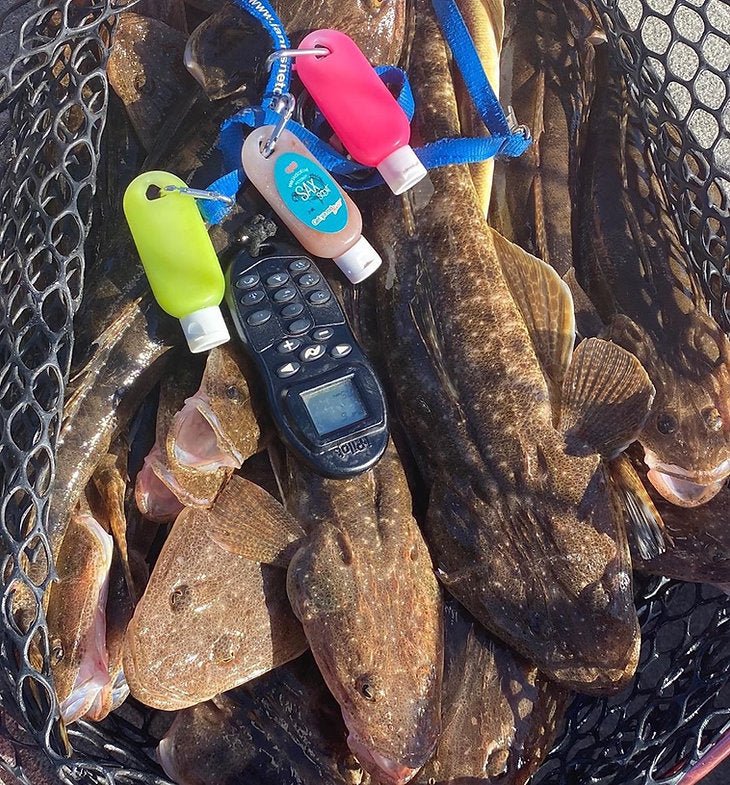 SAX SCENT UV Hotspot Pink 30ml - Flicking The Plastics